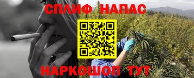 ПСИЛОЦИБИНОВЫЕ ГРИБЫ Свободный