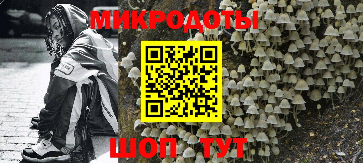 Псилоцибиновые грибы Psilocybe Полысаево